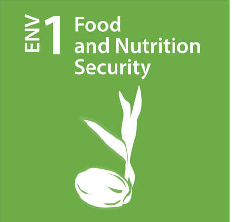 A nation that ensures our food and nutrition security needs are adequately met for all people through increasing sustainable food production systems and improving household production