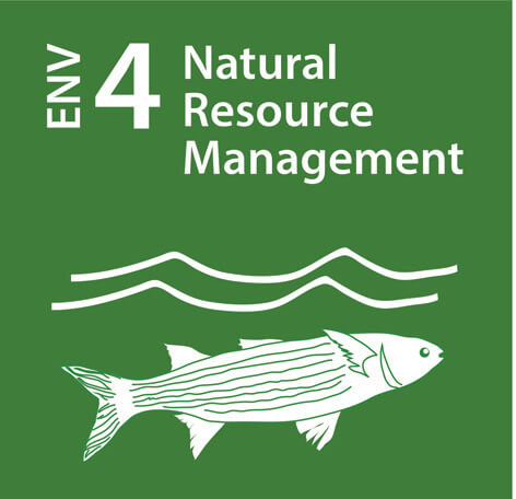 Environment 4 - Goal ENV4